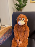 Punch Orangutan Djungeskog Monkey Brown 26 inch Ikea Plush 10402841