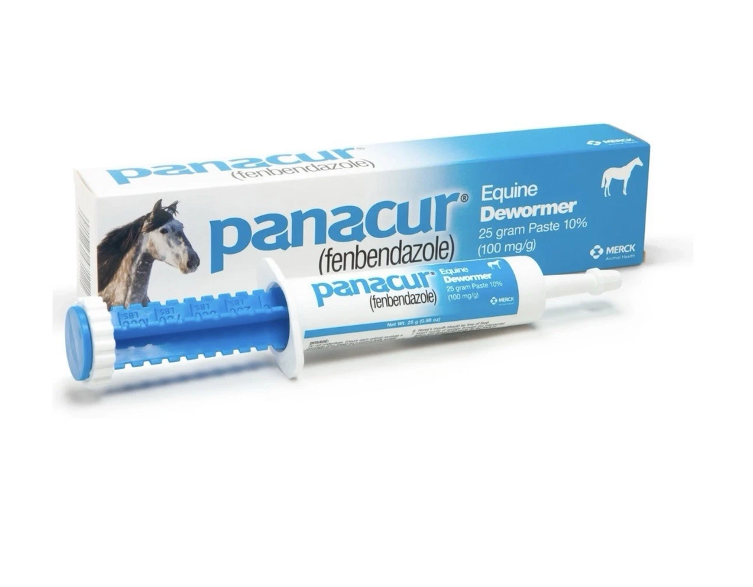 Panacur Dewormer Horse Paste 10%, 100mg | Single