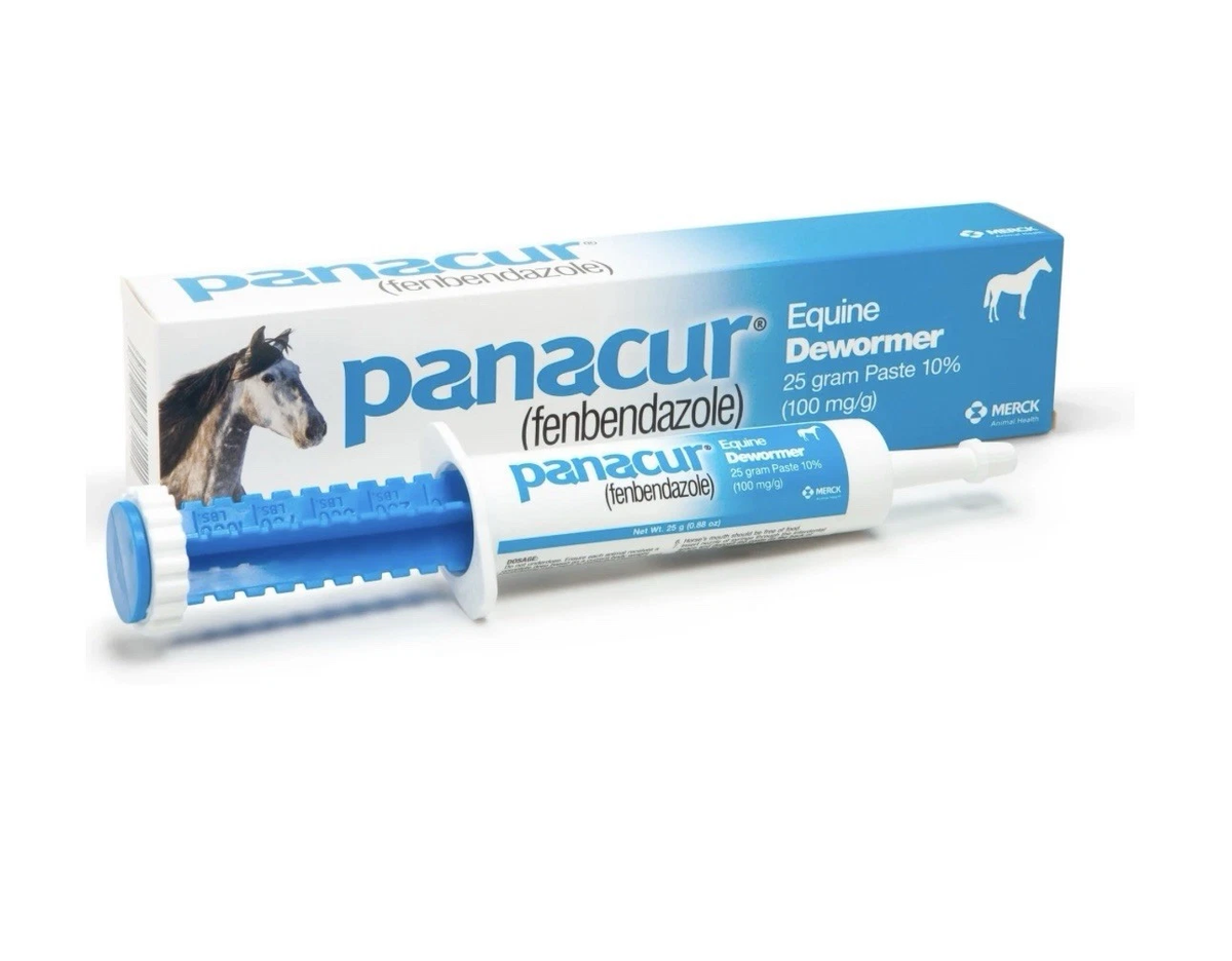 Panacur Dewormer Horse Paste 10%, 100mg | Single